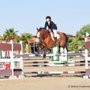 Photo of FHF Equestrian