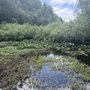 Photo of Tacoma Nature Center