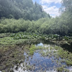 Tacoma Nature Center