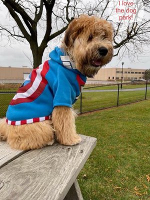 NORTHLAKE DOG PARK - Updated May 2026 - Wolf Road And Whitehall