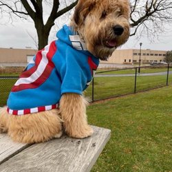 Northlake Dog Park