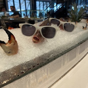 Lucky Shuck - Seafood Near Me - Jupiter, Florida Lucky Shuck - Seafood Near Me - Jupiter, Florida