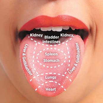 Olympic Acupuncture - Tongue Diagnosis - Acupuncture Near Me - Los Altos, California Olympic Acupuncture - Tongue Diagnosis - Acupuncture Near Me - Los Altos, California