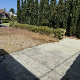 Before David's landscaping