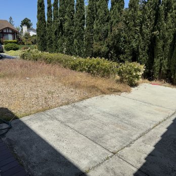 Davids Landscaping - Before David's landscaping - Landscaping Near Me