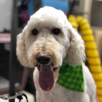 Timberlane Kennels - Pretty! - Pet Sitting Near Me - New Egypt, New Jersey Timberlane Kennels - Pretty! - Pet Sitting Near Me - New Egypt, New Jersey