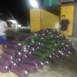 Pinchers Seafood
