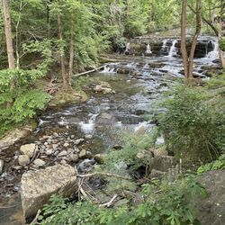 Red Jasper Beer Garden - Your view