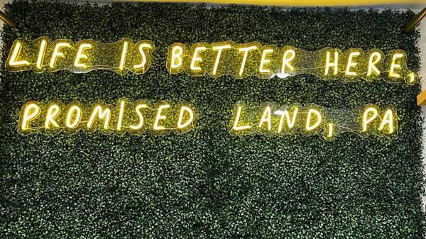 The Rex Hotel by null