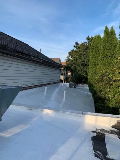 Slide of Sealtech Nation