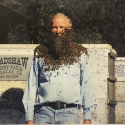 Bradshaw Honey Farm
