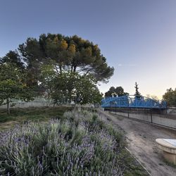 Mitchell Park