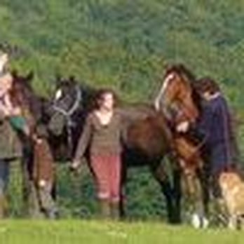Relais de la vallée de l'ource - Horseback Riding Near Me - Villars Santenoge, 52 Relais de la vallée de l'ource - Horseback Riding Near Me - Villars Santenoge, 52