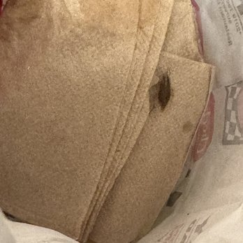 Checkers - Went to take the food out the bag and this critter was doing circles in the bag. - Burgers Near Me - Woodbridge, Virginia