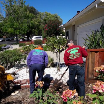 Torres Tree Service - Tree Services Near Me - San Jose, California Torres Tree Service - Tree Services Near Me - San Jose, California