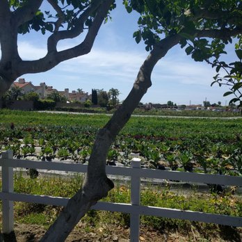 Smith Farms - Fruits & Veggies Near Me - Fountain Valley, California Smith Farms - Fruits & Veggies Near Me - Fountain Valley, California