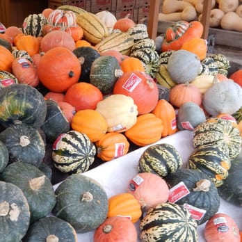 Country Farms - a variety of squash and gourds - Fruits & Veggies Near Me - Lake Stevens, Washington Country Farms - a variety of squash and gourds - Fruits & Veggies Near Me - Lake Stevens, Washington