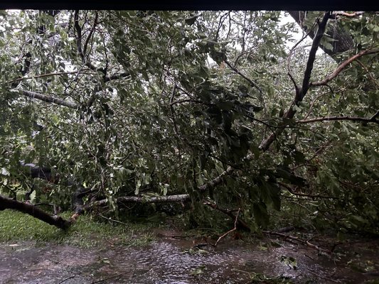 Emergency storm work - Tree uprooted and fell into clients back yard Emergency storm work - Tree uprooted and fell into clients back yard