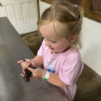 Insta-Gator Ranch & Hatchery - Tours Near Me - Covington, Louisiana Insta-Gator Ranch & Hatchery - Tours Near Me - Covington, Louisiana