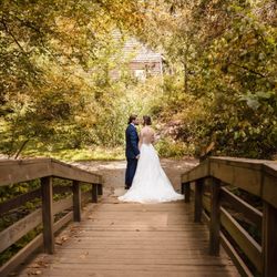 Natasha Dale Photography