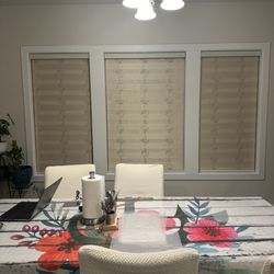 Home Idea - Zebra pattern blind