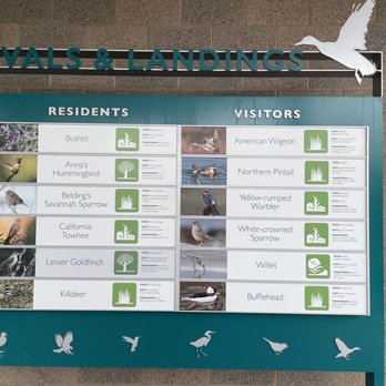 San Elijo Lagoon Ecological Reserve - Bird chart - Parks Near Me - Encinitas, California San Elijo Lagoon Ecological Reserve - Bird chart - Parks Near Me - Encinitas, California