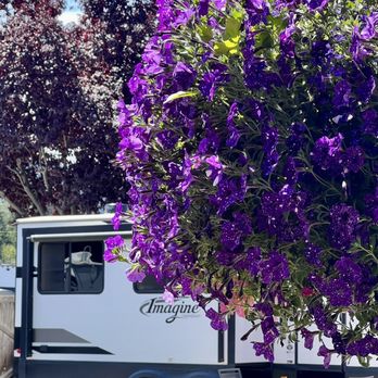 Gilgal Oasis Rv Park - Beautiful flower basket and our RV - RV Parks Near Me - Sequim, Washington