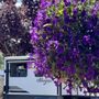 Photo of Gilgal Oasis Rv Park