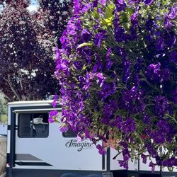 Gilgal Oasis Rv Park - Beautiful flower basket and our RV