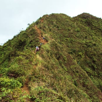 Ka'au Crater - going up crater side - Hiking Near Me - Honolulu, Hawaii Ka'au Crater - going up crater side - Hiking Near Me - Honolulu, Hawaii