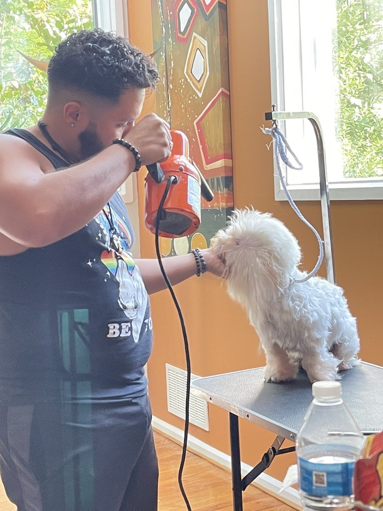GREG THE GROOMER Updated April 2024 24 Photos Washington, District of Columbia Pet
