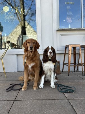 The Clover and the Bee by null