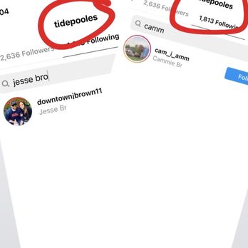 TidePoole's - The business follows Jesse B and Cammie L on social media, both of these individuals harassed and threatened me - Breakfast & Brunch Near Me - Newport Beach, California
