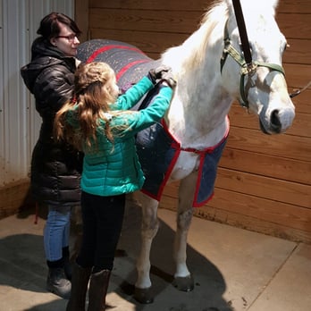 Dunham Woods Farm - DWF believes that your groundwork & horse care education is just as important as your riding.We have many horsemanship opportunities avail. - Horseback Riding Near Me - Elgin, Illinois Dunham Woods Farm - DWF believes that your groundwork & horse care education is just as important as your riding.We have many horsemanship opportunities avail. - Horseback Riding Near Me - Elgin, Illinois