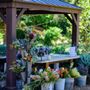 Photo of Daily Blooms Lavender Farm