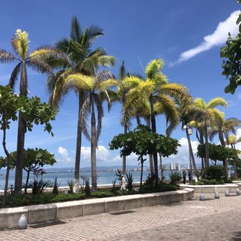 Oyster Grill de La Docena - Outside view - Seafood Near Me - Puerto Vallarta, JAL Oyster Grill de La Docena - Outside view - Seafood Near Me - Puerto Vallarta, JAL