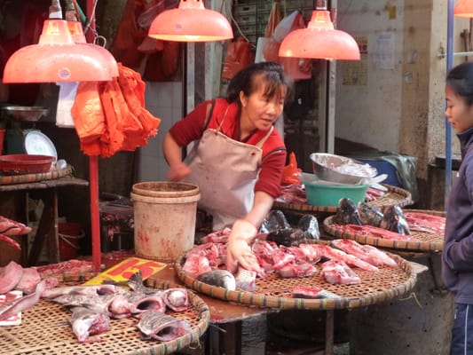 Kowloon City Market and Cooked Food Centre by null