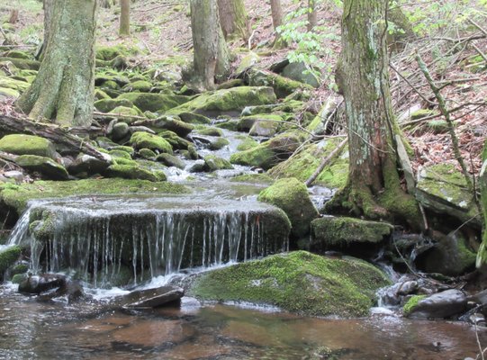 Overlook Mountain Trailhead by null