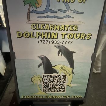 Fins Up Clearwater - Fins up! - Boat Tours Near Me - Tampa Bay, Florida