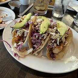 Street Tacos with grilled chicken Street Tacos with grilled chicken