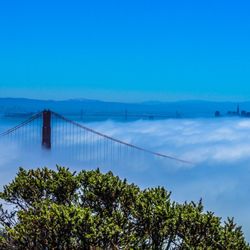 Marin Headlands - "And...Love, true love, will follow you forever" - The Princess Bride