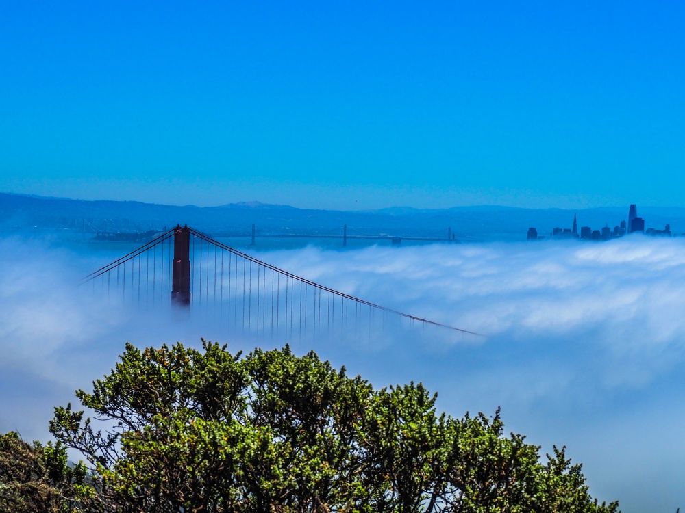 Marin Headlands