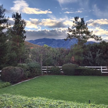 Mikes Tree Service - Topped trees to see our view better. - Tree Services Near Me