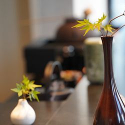 Forest Tea Bar