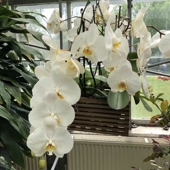 Allan Gardens - Parks Near Me - Toronto, Ontario Allan Gardens - Parks Near Me - Toronto, Ontario