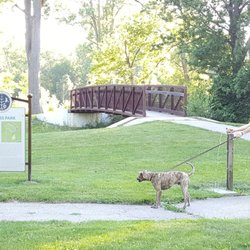 Curtiss Park