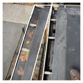 HiCleaners - Professional gutter cleaning in Lexington, MA. See all the services we offer: https://hicleaners.net/ - Window Washing Near Me