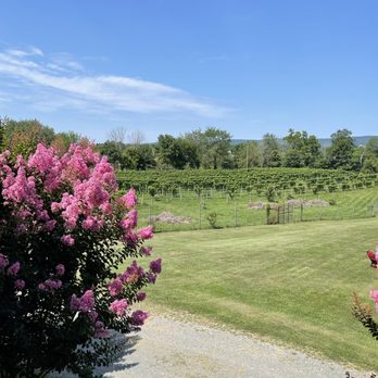 Sunset Hills Vineyard - View from the coveted patio - Wineries Near Me - Purcellville, Virginia Sunset Hills Vineyard - View from the coveted patio - Wineries Near Me - Purcellville, Virginia