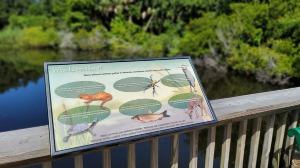 North Carolina Aquarium at Fort Fisher by null