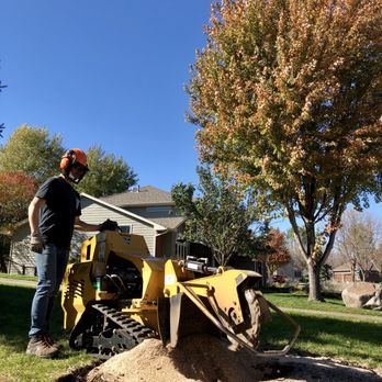 ARBORMASTER TREE SERVICE - Updated February 2026 - 11 Photos - Sioux Falls,  South Dakota - Tree Services - Phone Number - Yelp